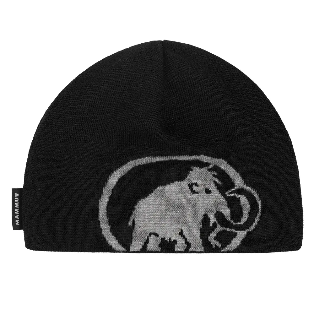 Mammut Czapka Mammut Tweak Beanie black-steel