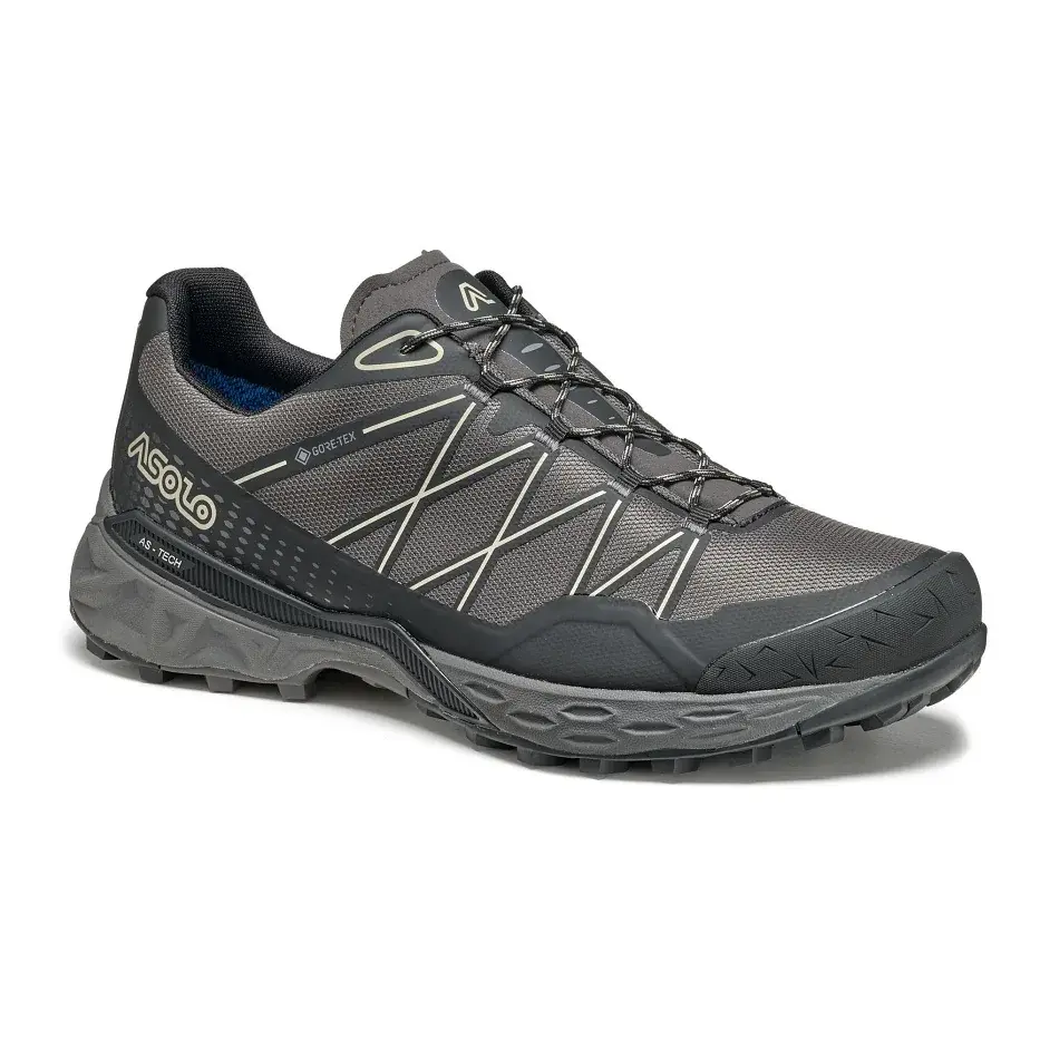 Asolo Buty męskie Asolo Tahoe GTX MM shark grey/black/beige/B181