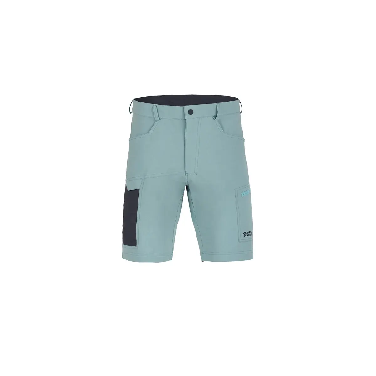 Szorty męskie Direct Alpine Mordor short arctic