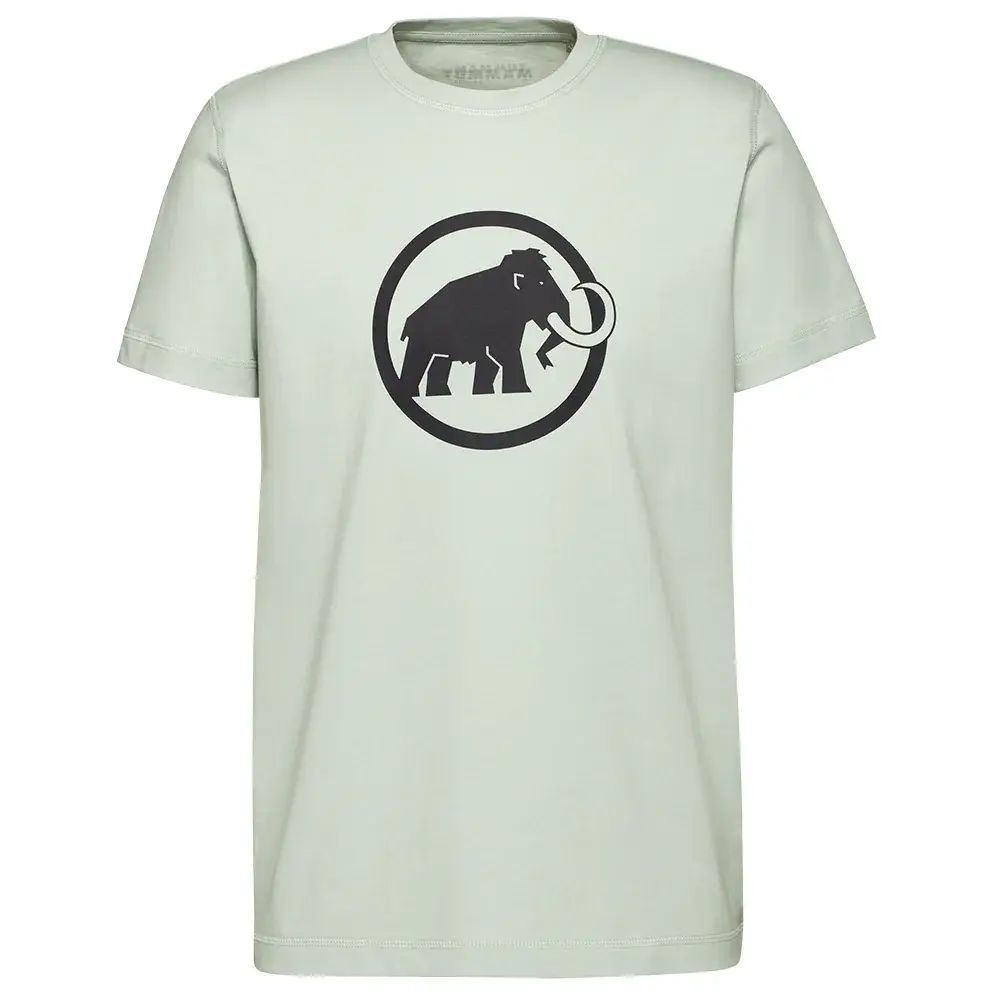 Koszulka męska Mammut Core T-Shirt Classic silver sage