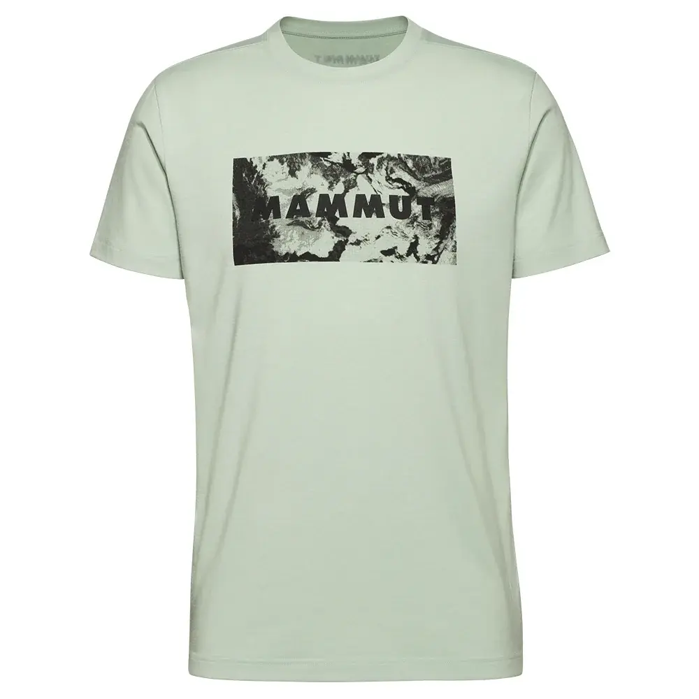 Mammut Koszulka męska Mammut Trovat T-Shirt Logo silver sage