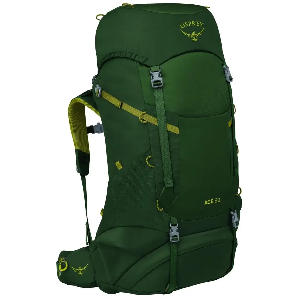 Plecak dla dzieci Osprey Ace 50L green canopy/matcha green